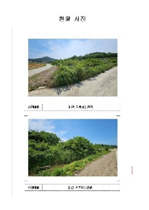 2025타경51136 임야 · 전라남도 신안군 도초면