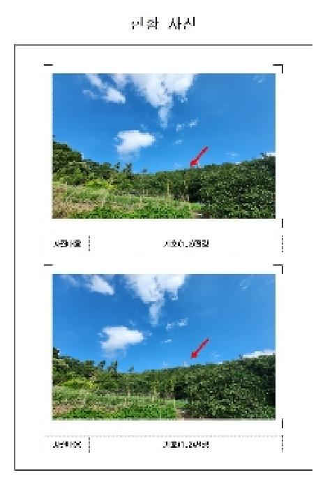 2025타경51221 임야 · 전라남도 무안군 삼향읍 남악리 288-11