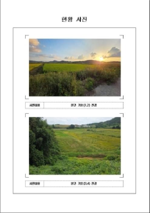 2025타경513 전답 · 전라남도 무안군 해제면