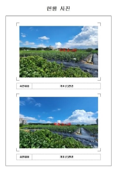 2025타경51422 전답 · 전라남도 영암군 삼호읍
