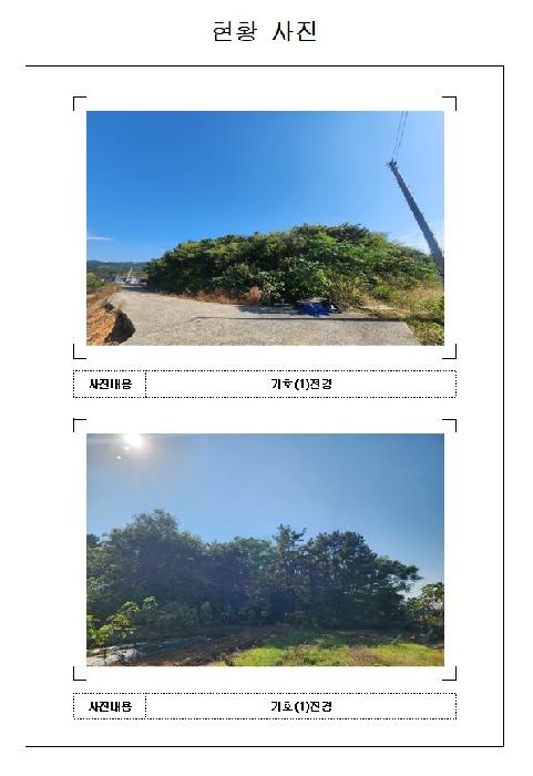 2025타경51525 임야 · 전라남도 영암군 삼호읍 용앙리 산94-3
