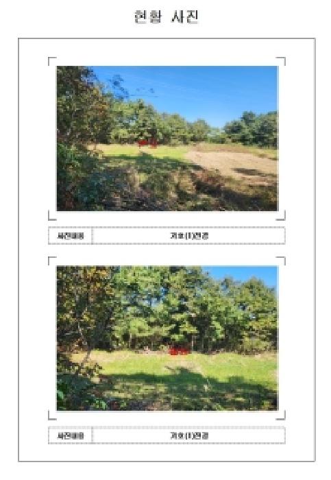 2025타경51532 · 전라남도 영암군 삼호읍 동호리 425