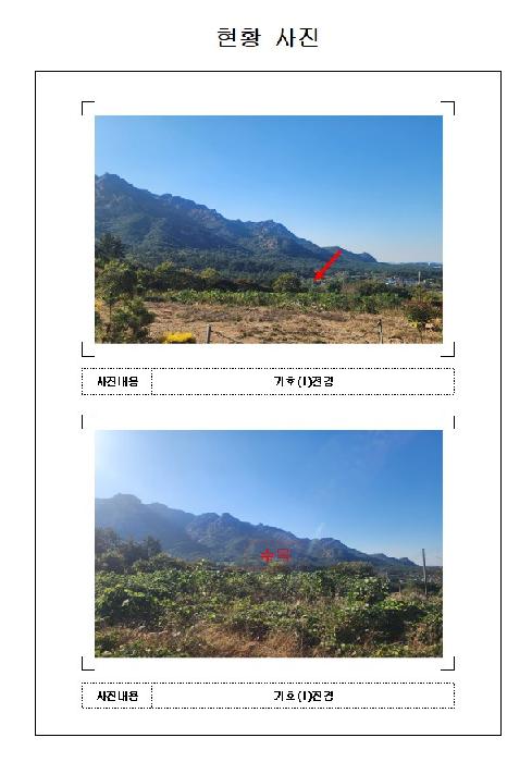 2025타경51547 전답 · 전라남도 영암군 영암읍