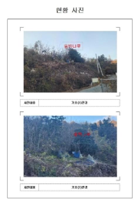 2025타경51719 임야 · 전라남도 무안군 삼향읍