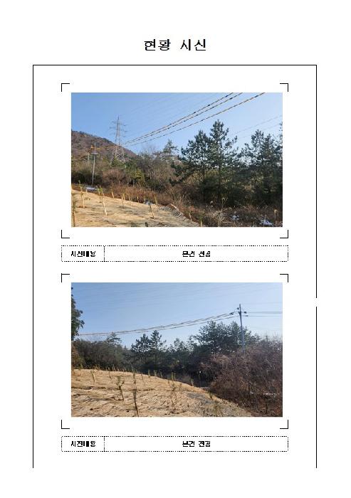 2025타경51765 임야 · 전라남도 신안군 압해읍