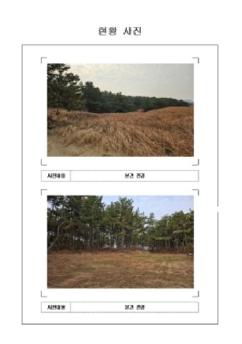 2025타경51772 임야 · 전라남도 신안군 임자면