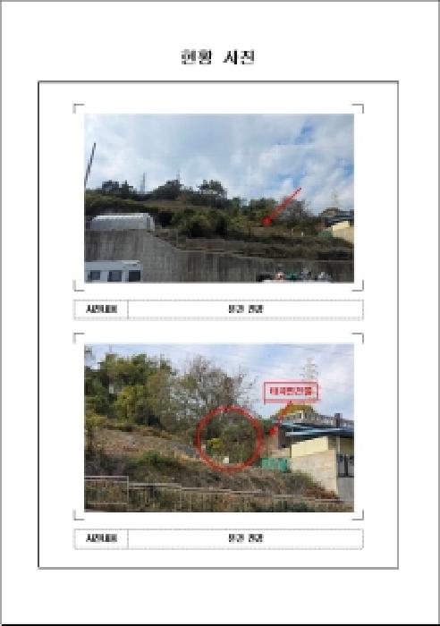 2025타경529 · 전라남도 목포시 대양동 443-1