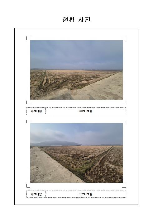 2026타경50162 전답 · 전라남도 무안군 일로읍 용산리 1379-9