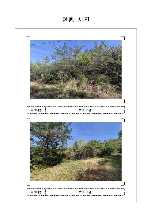 2026타경50282 임야 · 전라남도 무안군 청계면 도림리 산10-25