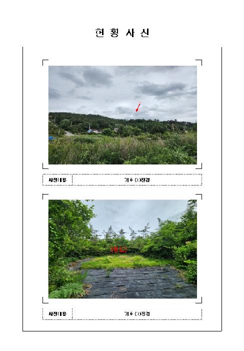 2026타경50362 임야 · 전라남도 신안군 압해읍 대천리 산167-12