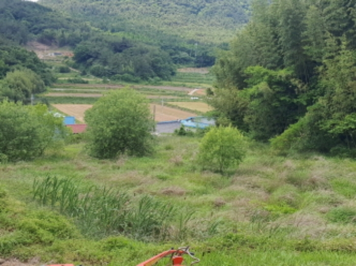 2024타경5749 전답 · 전라남도 장흥군 용산면