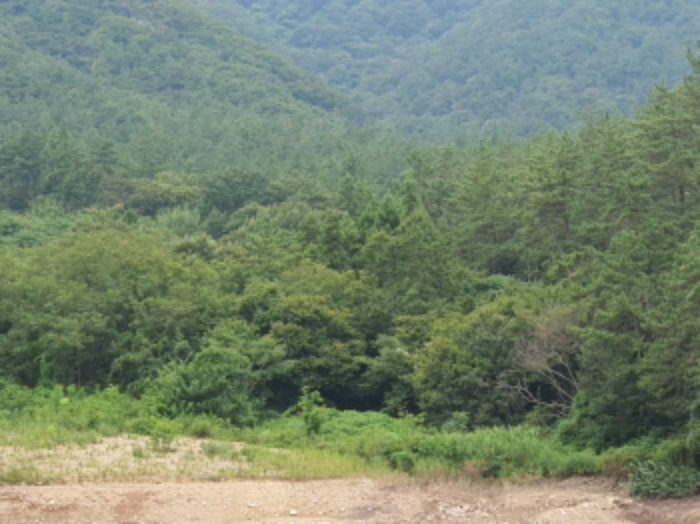2024타경6186 전답 · 전라남도 장흥군 용산면