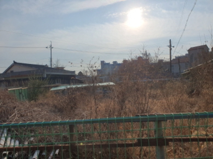 2024타경6629 전답 · 전라남도 장흥군 장흥읍