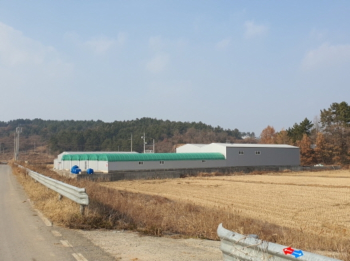 2025타경5043 대지 · 전라남도 강진군 마량면