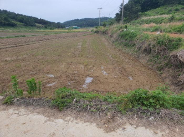 2025타경5258 전답 · 전라남도 강진군 마량면