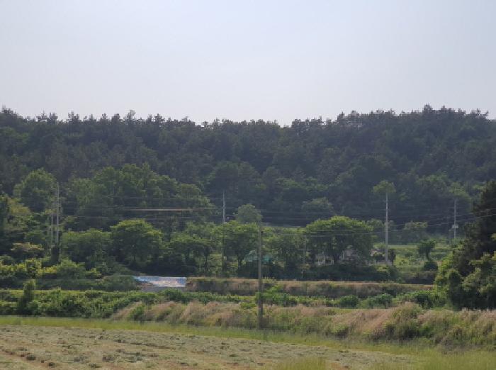 2025타경5259 임야 · 전라남도 장흥군 용산면