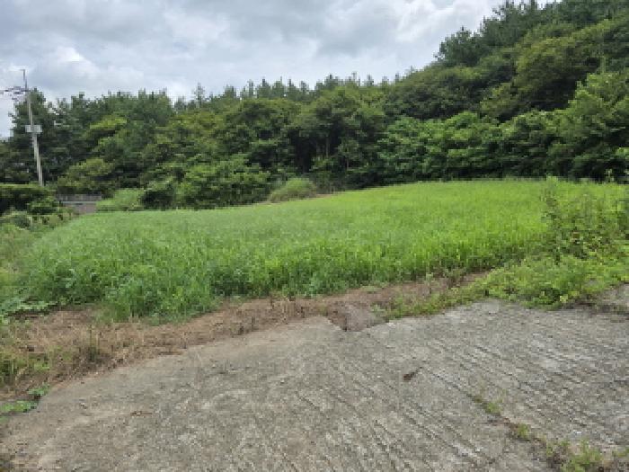 2025타경5309 전답 · 전라남도 장흥군 관산읍