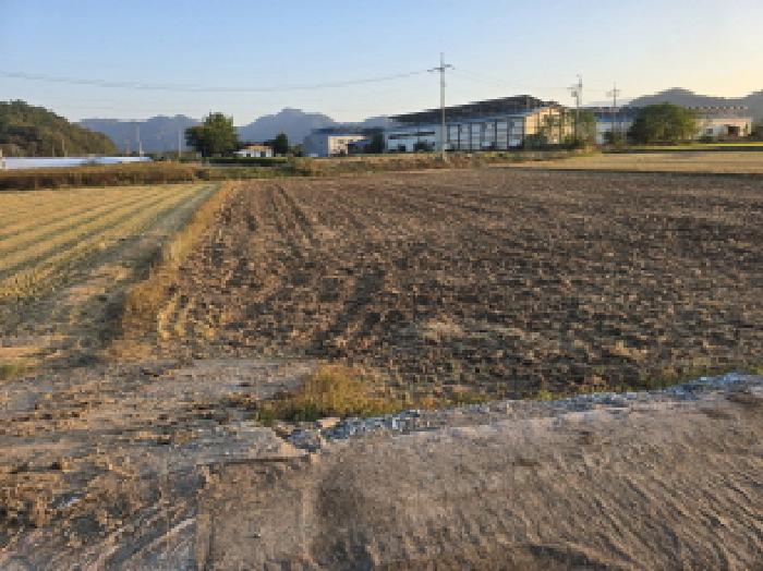 2025타경5340 임야 · 전라남도 장흥군 용산면