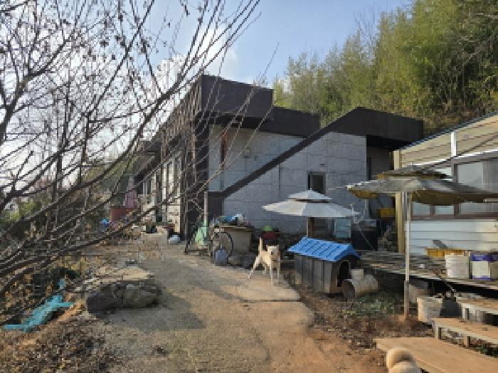 2025타경5367 · 전라남도 장흥군 진곡길