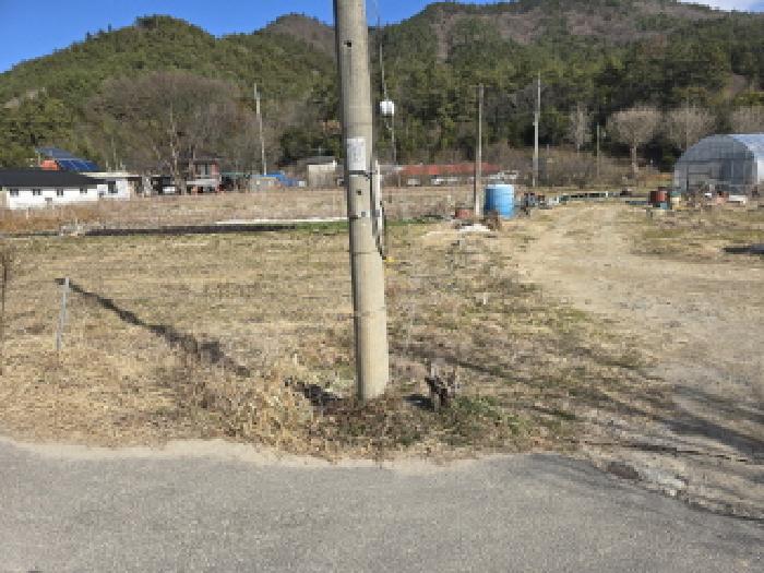 2025타경5374 임야 · 전라남도 장흥군 안양면