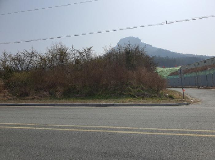 2025타경83 · 전라남도 장흥군 장흥읍