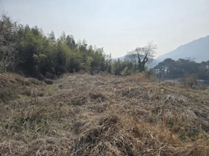 2026타경5032 대지 · 전라남도 장흥군 장흥읍 향양리 670-1