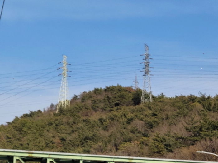 2024타경51547 임야 · 전라남도 여수시 중흥동