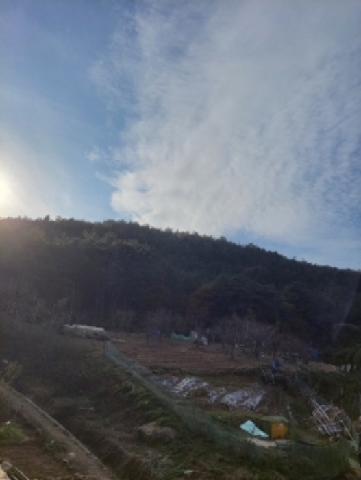 2024타경5261 임야 · 전라남도 광양시 마동