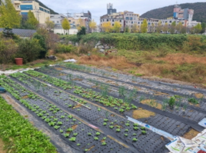 2024타경61162 전답 · 전라남도 여수시 미평동