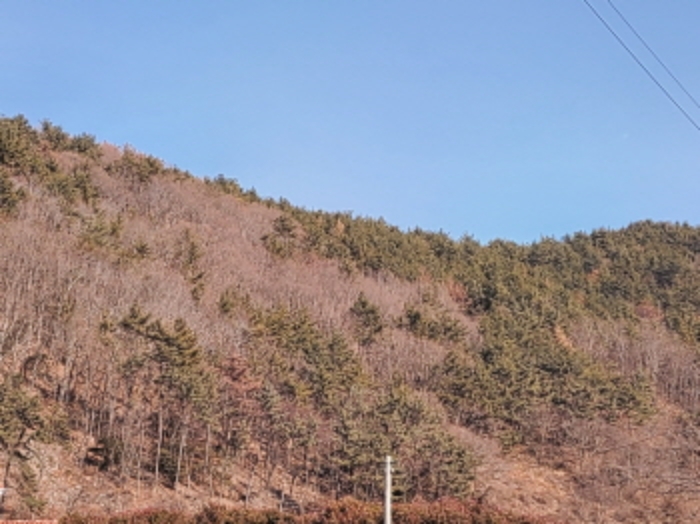 2024타경62615 임야 · 전라남도 여수시 돌산읍