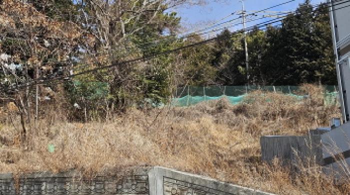 2025타경102 임야 · 전라남도 여수시 문수동