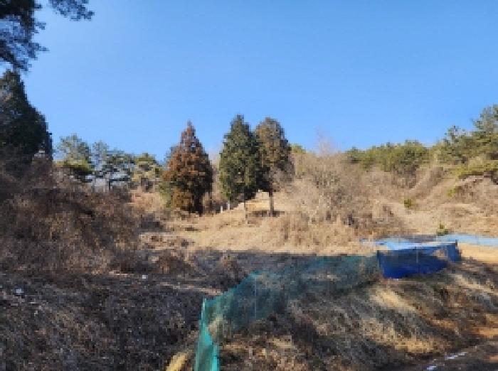2025타경287 임야 · 전라남도 보성군 문덕면