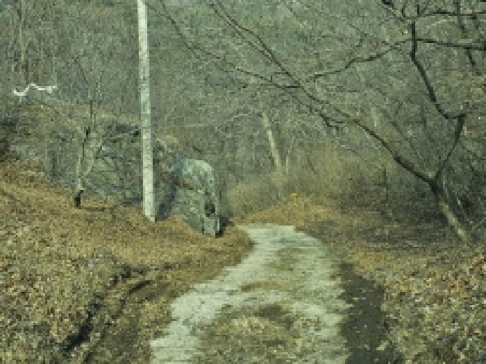 2025타경350 임야 · 전라남도 순천시 삼거동