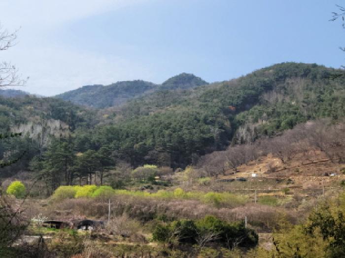 2025타경379 전답 · 전라남도 순천시 낙안면
