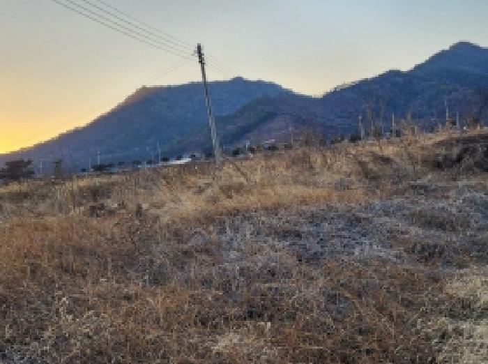 2025타경50039 임야 · 전라남도 고흥군 동강면 장덕리 산77-2