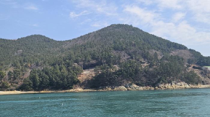 2025타경51051 임야 · 전라남도 여수시 돌산읍