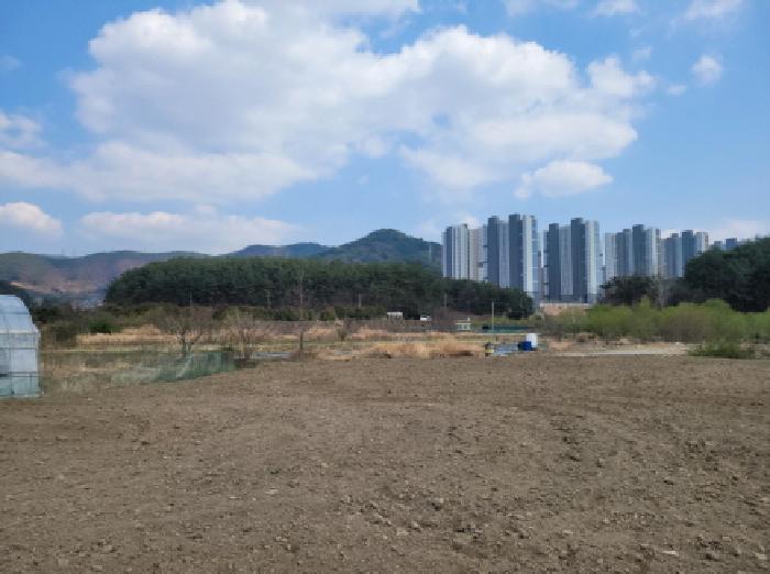 2025타경51243 전답 · 전라남도 광양시 광양읍