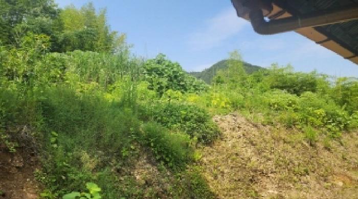 2025타경51496 대지 · 전라남도 고흥군 점암면