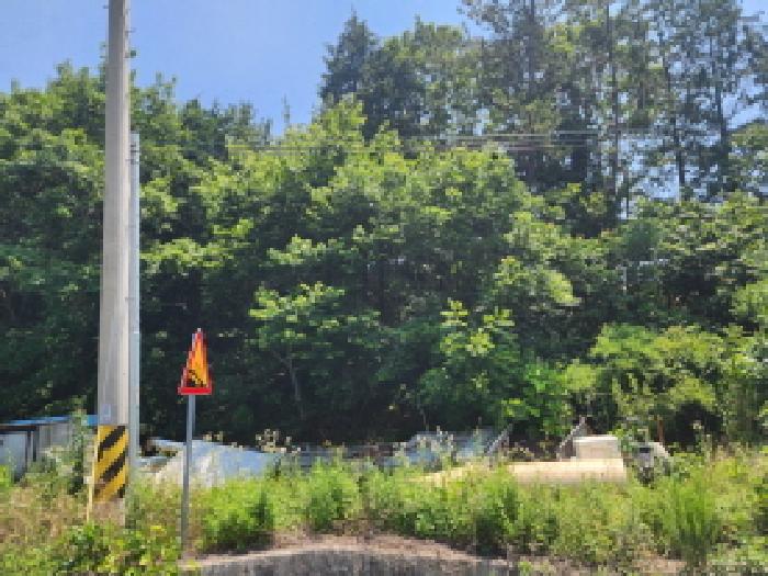 2025타경51611 상가근린 · 전라남도 고흥군 동일면