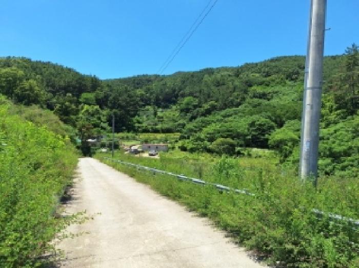 2025타경51657 임야 · 전라남도 광양시 도이동 산31-9