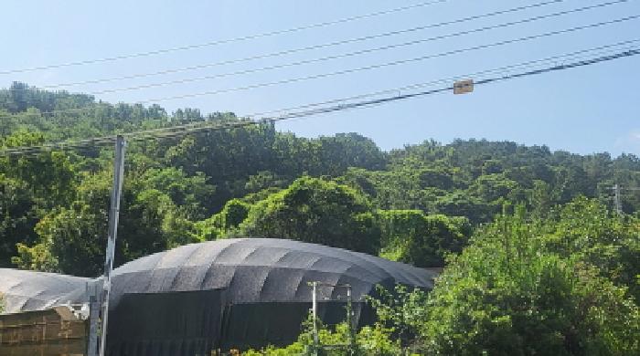 2025타경51694 임야 · 전라남도 여수시 묘도동