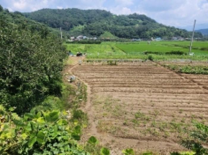 2025타경51751 대지 · 전라남도 광양시 옥곡면