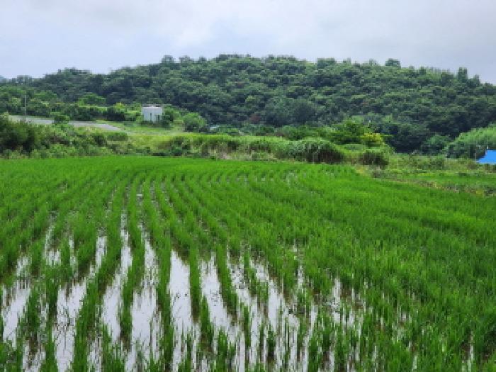 2025타경51763 전답 · 전라남도 여수시 소라면