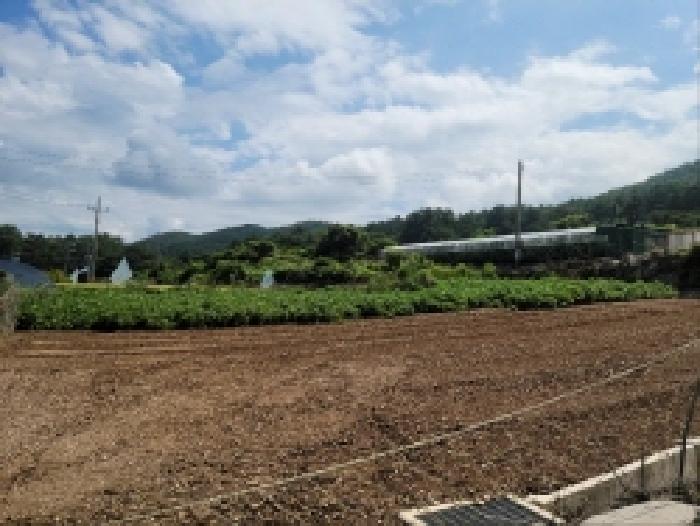 2025타경51959 임야 · 전라남도 고흥군 동일면