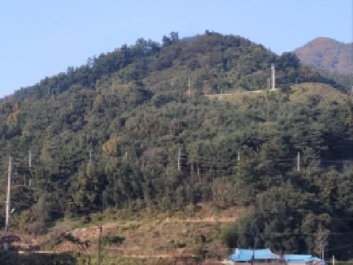 2025타경51995 임야 · 전라남도 보성군 벌교읍