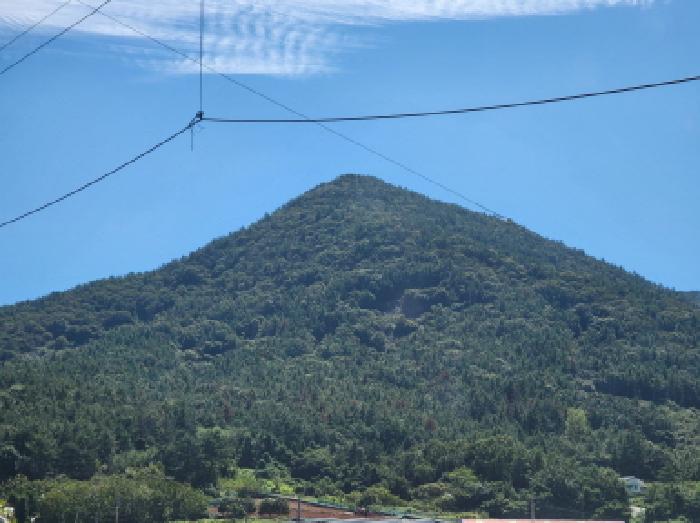 2025타경52012 임야 · 전라남도 여수시 돌산읍 평사리 산487