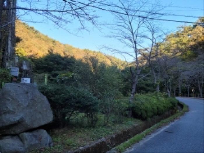 2025타경52168 전답 · 전라남도 보성군 문덕면 죽산리 620-1
