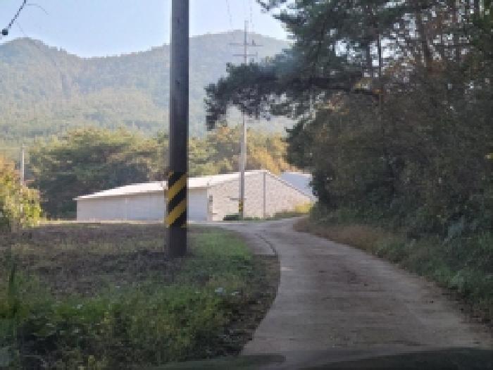 2025타경52200 · 전라남도 고흥군 점암면