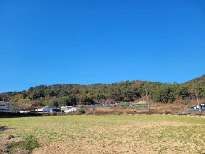 2025타경52319 임야 · 전라남도 여수시 돌산읍