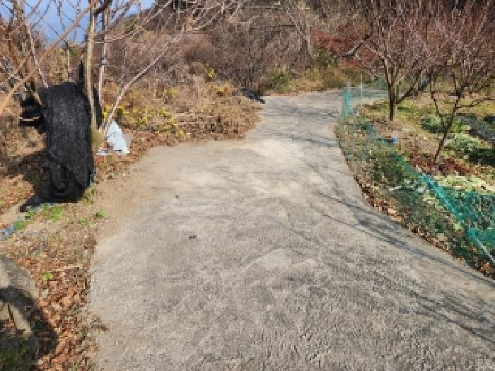 2025타경52358 임야 · 전라남도 구례군 간전면